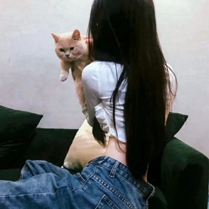 缘分接下来